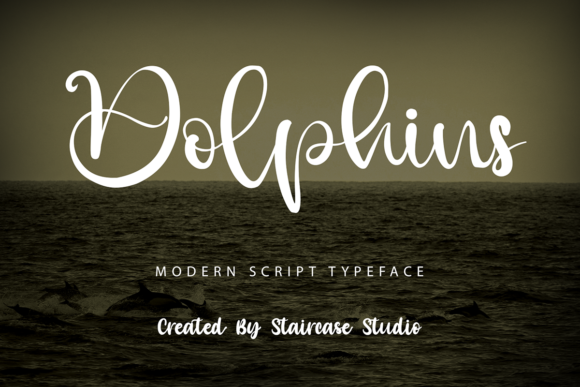 Dolphins: A Script Amp Font That Feels Like Summer Air