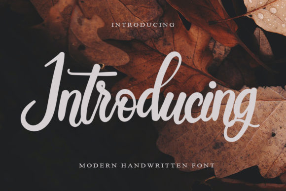 Introducing: A Script Font That Makes Your Brand Feel Thoughtful