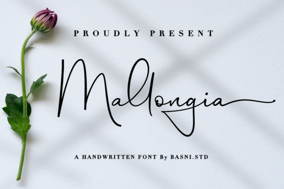 Mallongia: A Modern Handwritten Font for Scroll-Stopping Brand Content