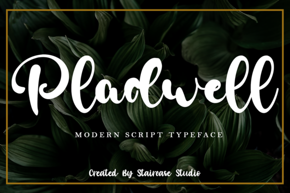 Pladwell: A Bold Handwritten Font for Real Business Branding