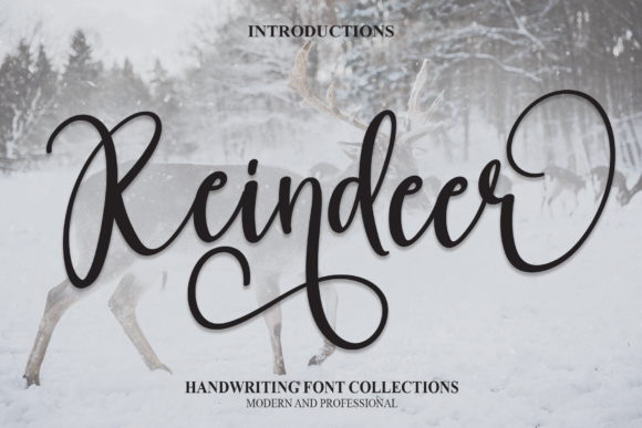 Reindeer: A Modern Handwritten Font for Digital Branding