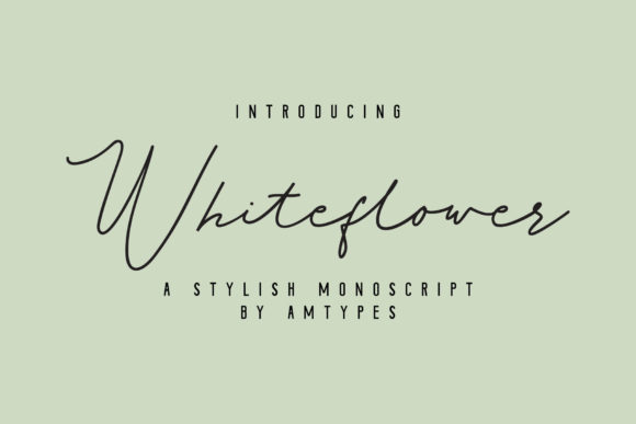 Whiteflower: A Delicate Script Font for Elegant Branding